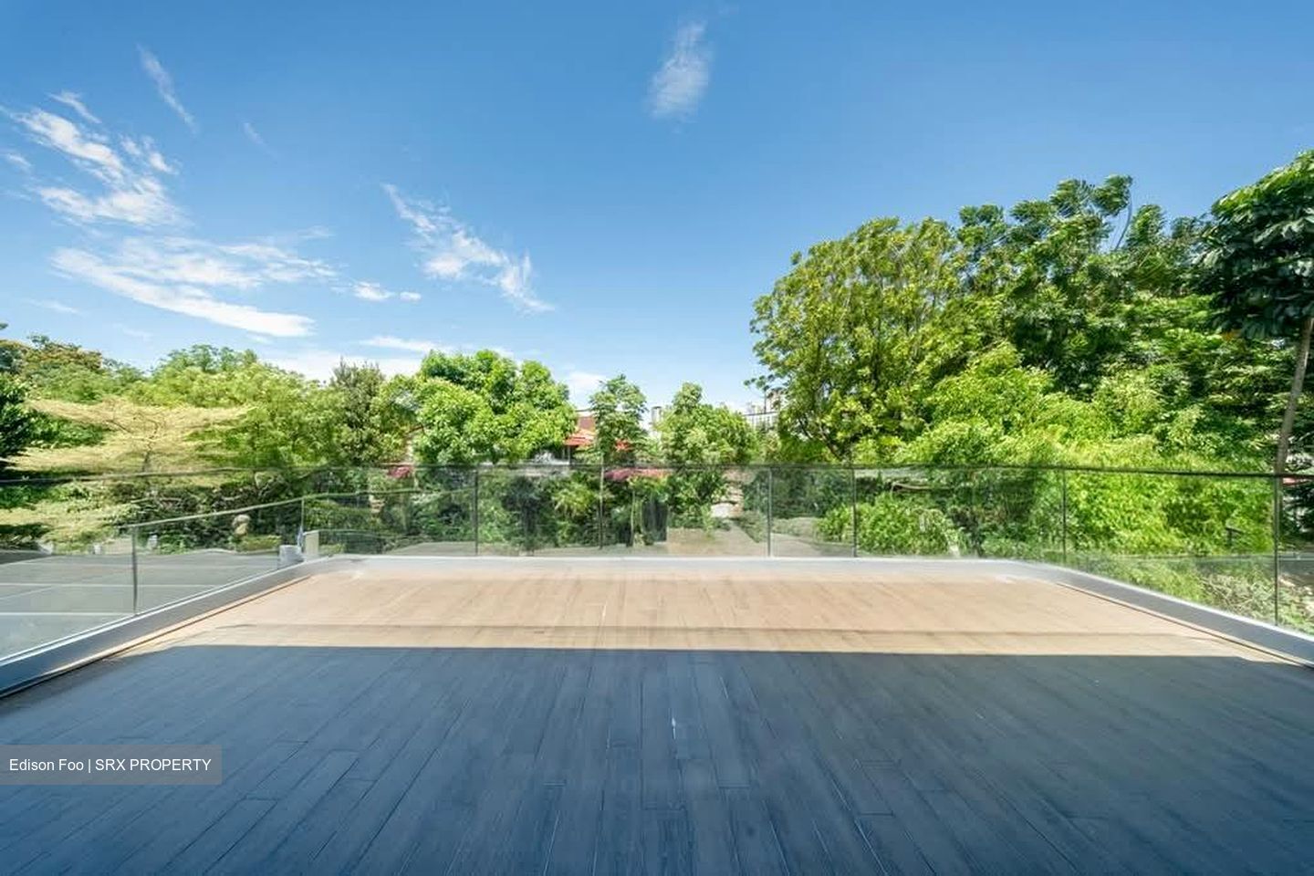 Henry Park (D10), Detached #544477791
